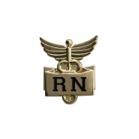 Professional Lapel Pin-"RN" - 94536
